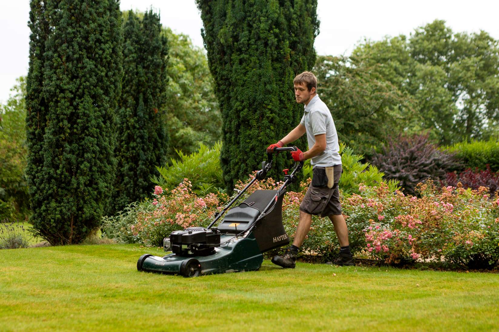 Lawn care is a specialty.